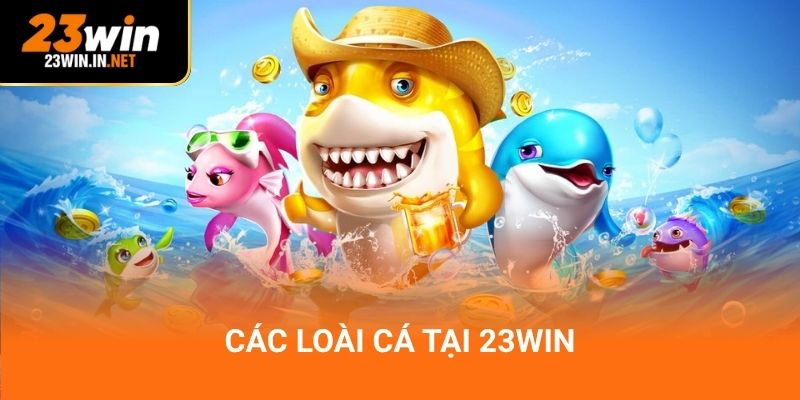 Các loài cá tại 23win