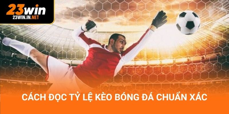 Cách đọc tỷ lệ kèo bóng đá chuẩn xác