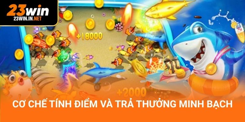 Cơ chế tính điểm và trả thưởng minh bạch