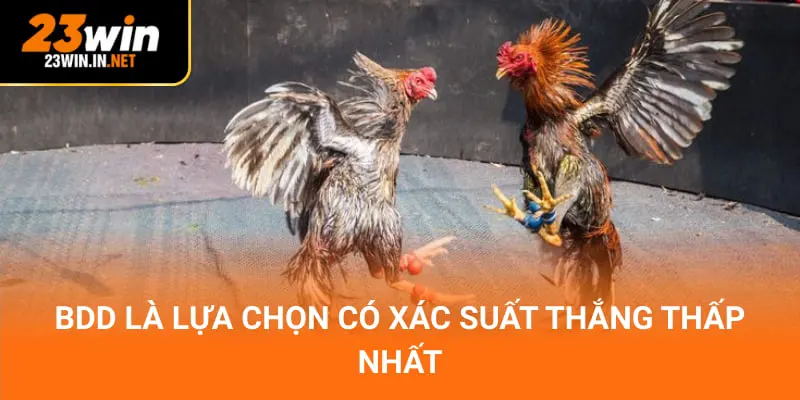 BDD là lựa chọn có xác suất thắng thấp nhất