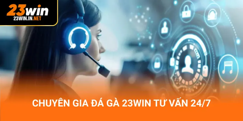 Chuyên gia đá gà 23win tư vấn 24/7