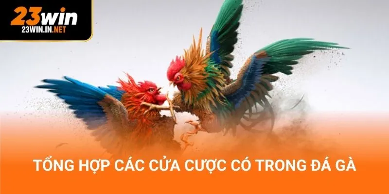 Tổng hợp các cửa cược có trong đá gà